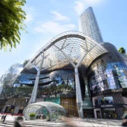 skye-at-holland-drive-singapore-developer-past-project-orchard-residences skye-at-holland-drive-singapore-developer-past-project-orchard-residences